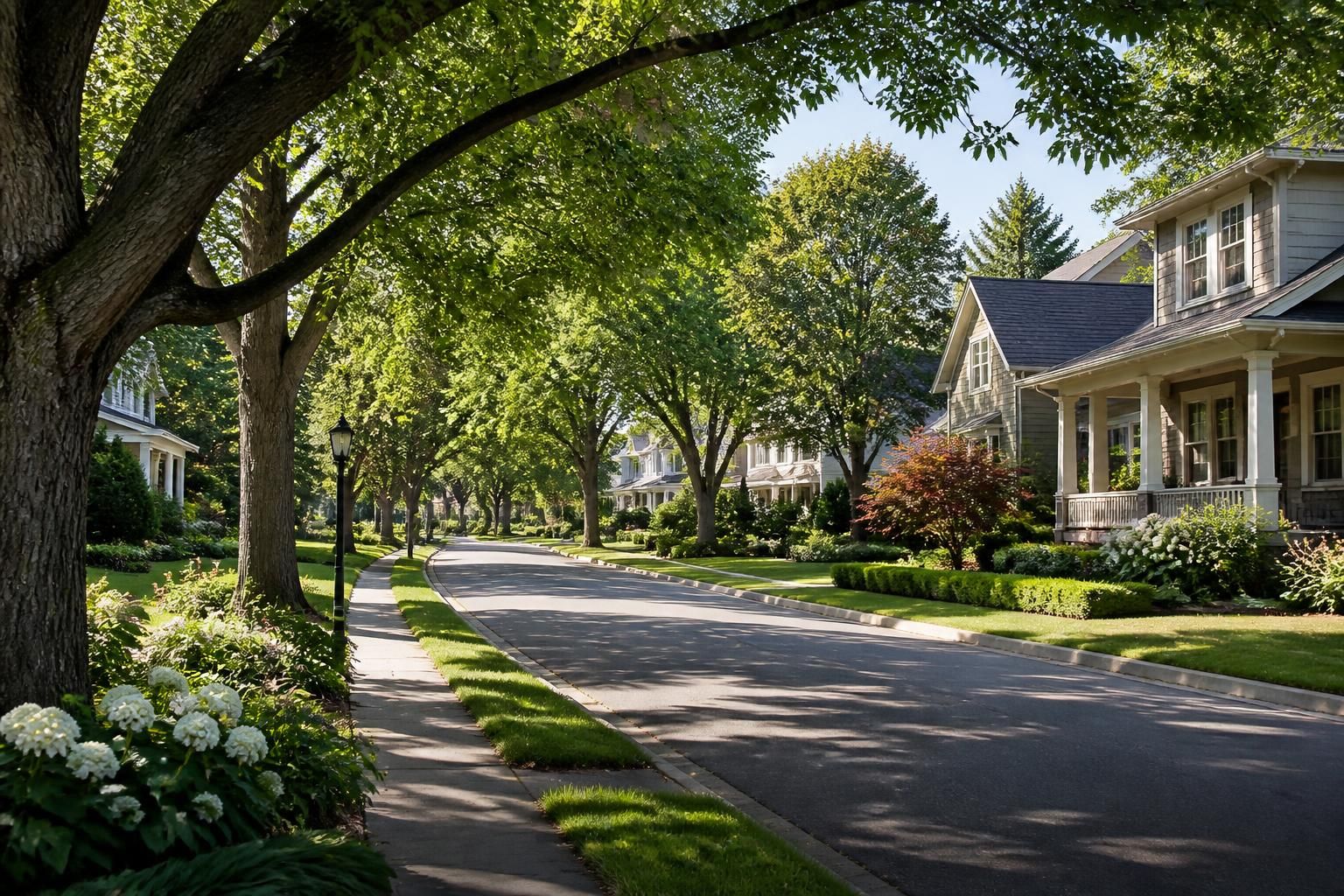 Park-like neighborhood scene with tree canopies and neat homes